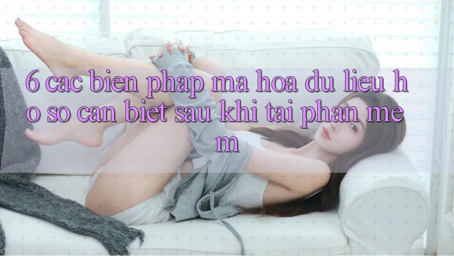 6. Các Biện Pháp Mã hóa dữ liệu Hồ sơ Cần Biết Sau Khi Tải Phần mềm 6. Các Biện Pháp Mã hóa dữ liệu Hồ sơ Cần Biết Sau Khi Tải Phần mềm