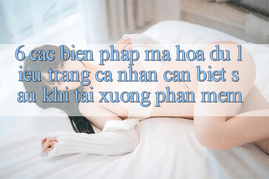 6. Các Biện Pháp Mã hóa dữ liệu Trang cá nhân Cần Biết Sau Khi Tải xuống Phần mềm
